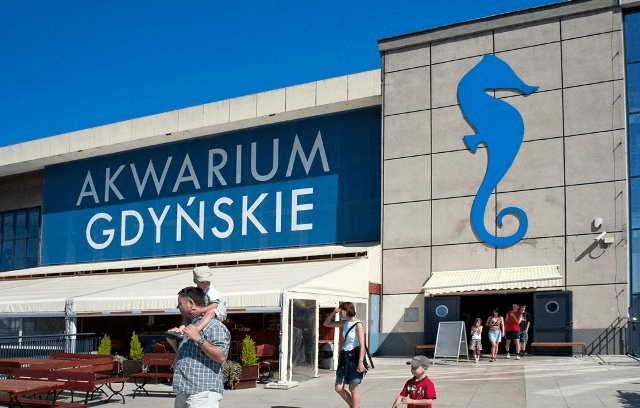 Akwarium w Gdyni