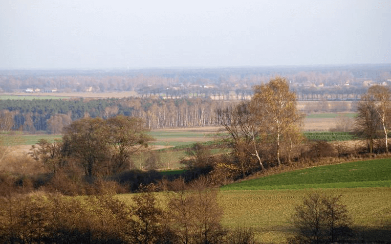 Żerkowsko-Czeszewski Park Krajobrazowy